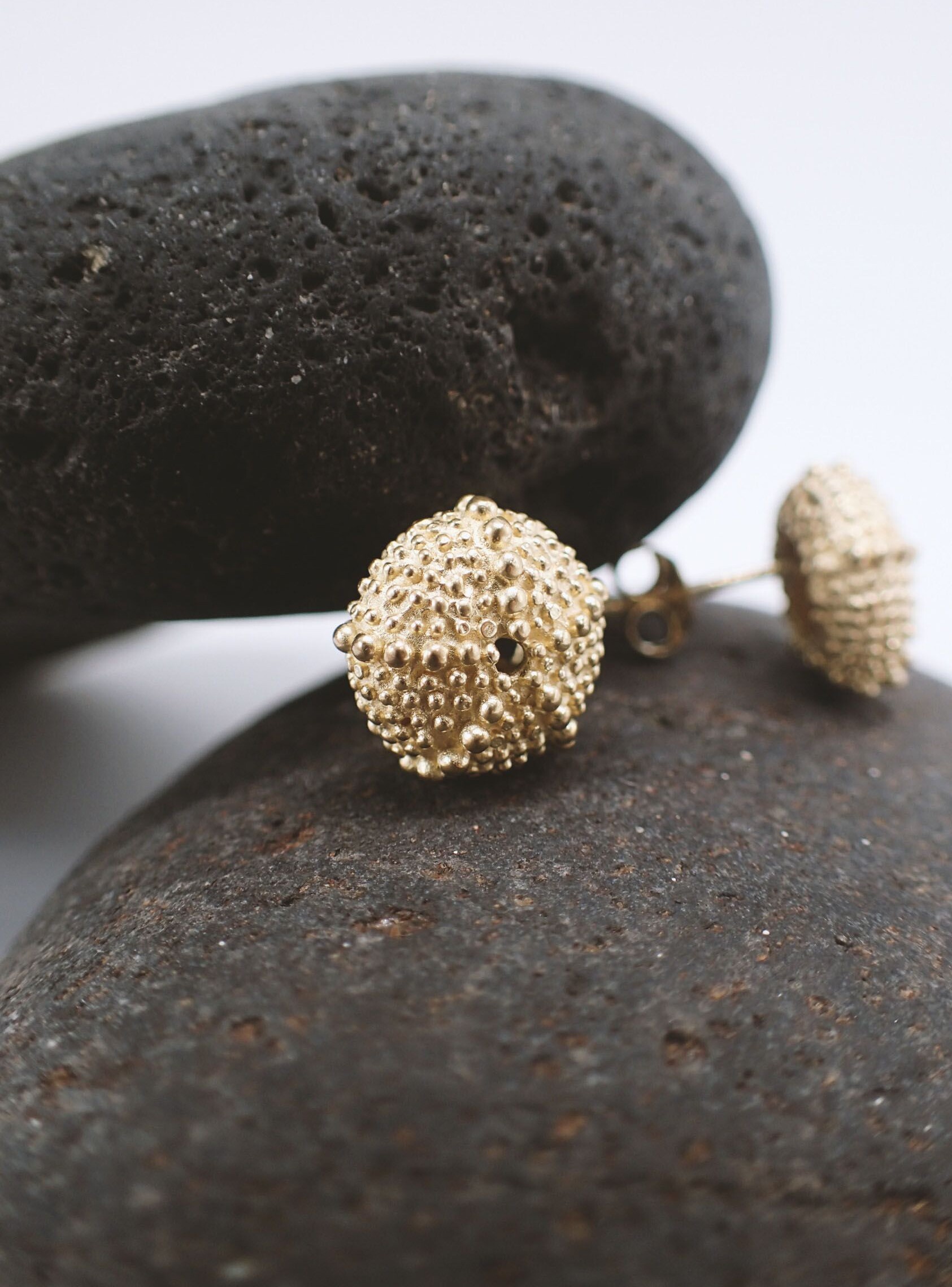 Réplicas de pequeños esqueletos de erizos de mar convertidos en pendientes de oro vermeil, colocados sobre guijarros.