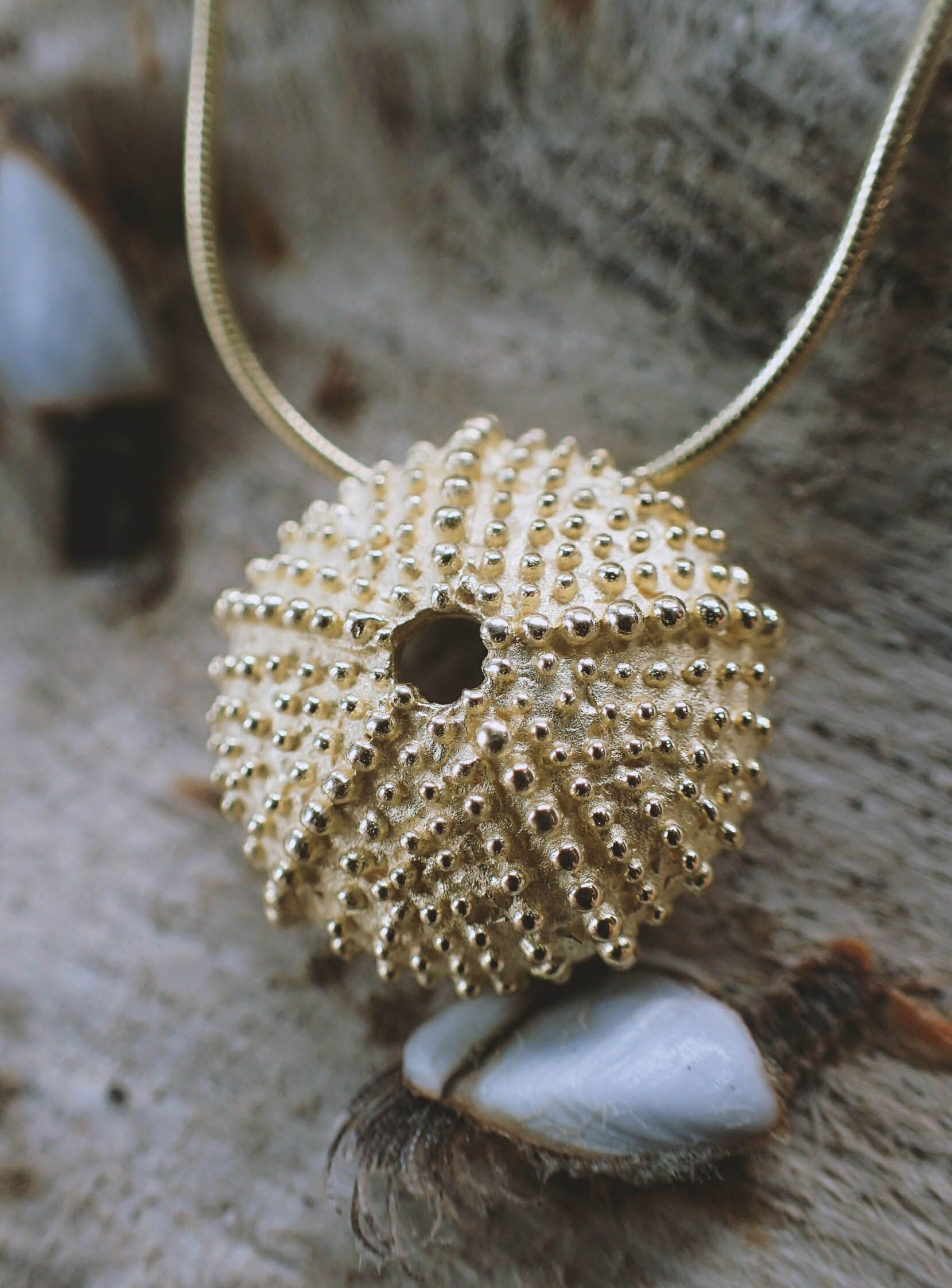 colgante de oro en forma de esqueleto de erizo de mar sobre un trozo de madera a la deriva