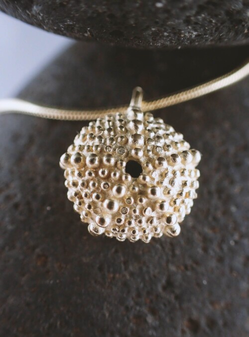 small sea urchin skeleton in golden color on top of a black smooth stone
