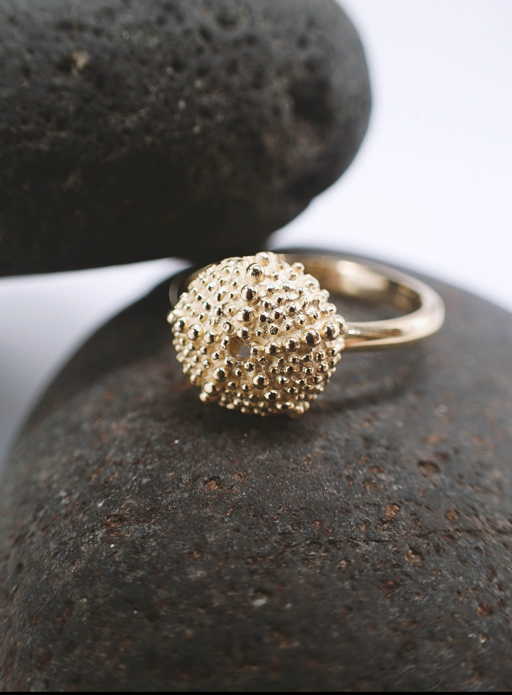 goldfarbener kleiner Ring mit einem nachgebildeten kleinen Seeigel-Skelett an der Spitze. Der Ring liegt auf Kieselsteinchen