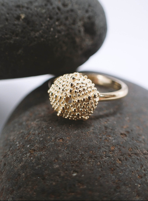 Anillo pequeño de color dorado con un pequeño esqueleto de erizo de mar recreado en la parte superior. El anillo yace sobre guijarros