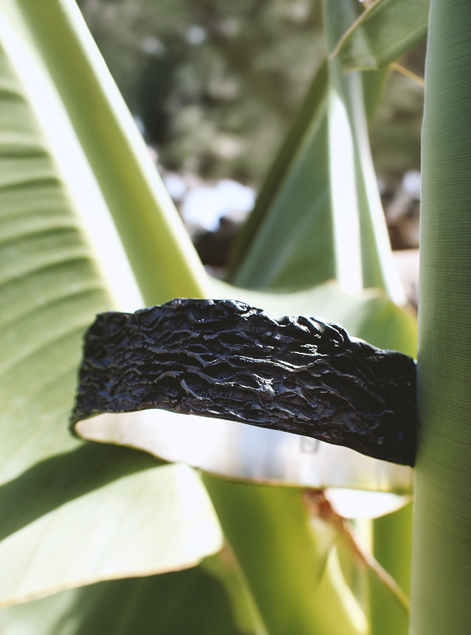 Malpaís - silver bangle inspired by Lanzarote is a coloured bangle with texture of lava rocks placed in between banana leafs