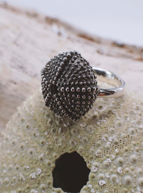 Schwarzer Seeigel Ring aus geschwärztem Silber liegt auf einer echten Seeigel-Schale