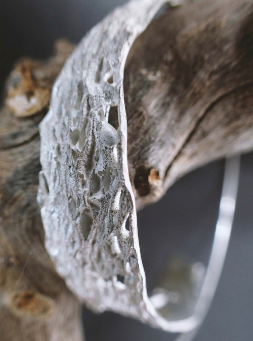 "Rhizom" kunstvolle Silberkreolen, die an einem Stück Holz hängen